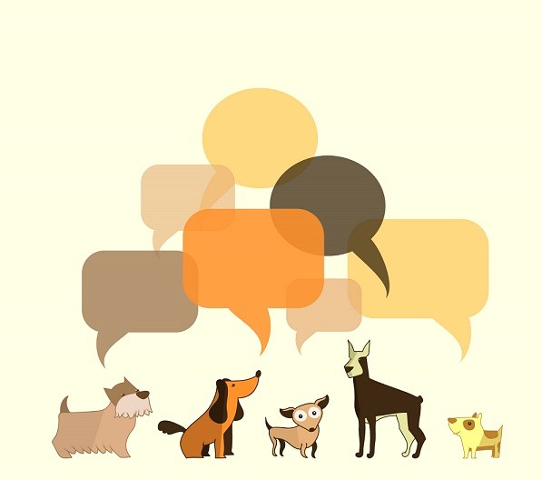 ¿Los perros se comunican entre ellos?